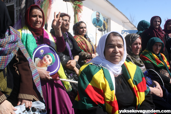 Yüksekova'da kadınlar günü kutlandı 29