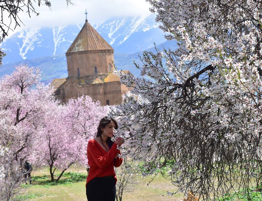 Badem çiçekleriyle süslenen Akdamar Adası’nda görsel şölen 15