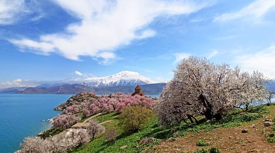 Badem çiçekleriyle süslenen Akdamar Adası’nda görsel şölen 3