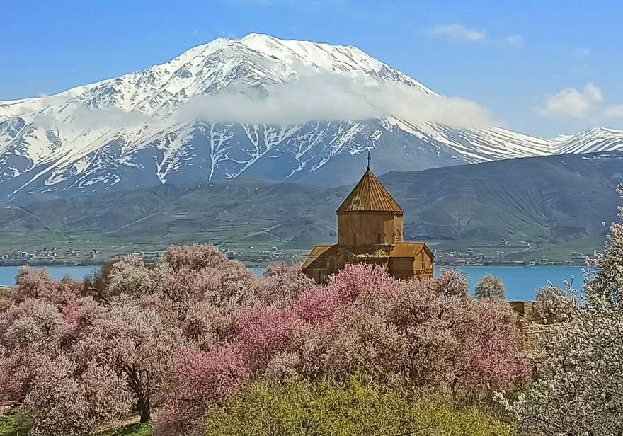 Badem çiçekleriyle süslenen Akdamar Adası’nda görsel şölen 5