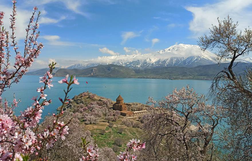 Badem çiçekleriyle süslenen Akdamar Adası’nda görsel şölen 7