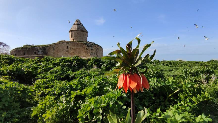 Van Gölü'nün el değmemiş güzelliği 'Çarpanak Adası' 9