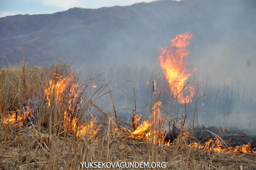 Yüksekova’da Kuş cenneti alev alev yanıyor 4