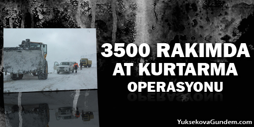 3500 rakımda at kurtarma operasyonu