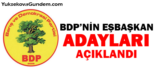 İşte BDP'nin eşbaşkan adayları