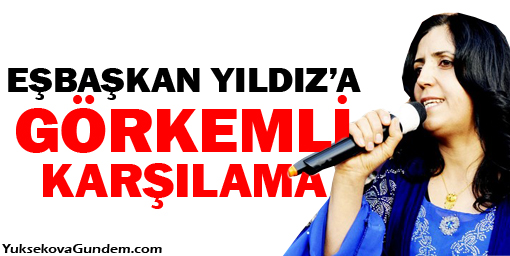 Şemdinli'de eşbaşkan Yıldız'a görkemli karşılama