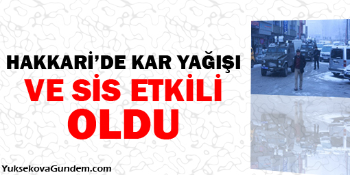 Hakkari'de kar yağışı ve sis etkili oldu