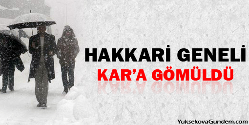 Hakkari il geneli kara gömüldü