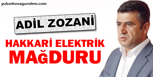 Zozani: Hakkari elektrik mağduru