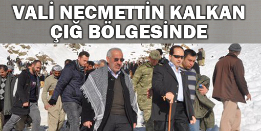 Vali Necmettin Kalkan çığ bölgesinde