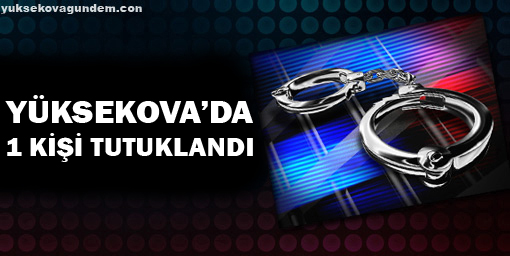 Yüksekovada 1, Erganide 3 kişi tutuklandı