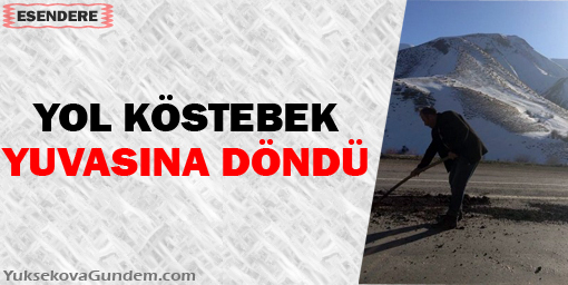 Duble yol köstebek yuvasına döndü!