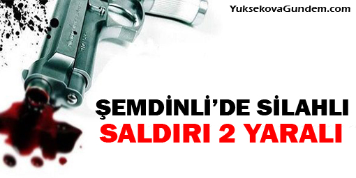 Şemdinli'de Silahlı Saldırı: 2 Yaralı