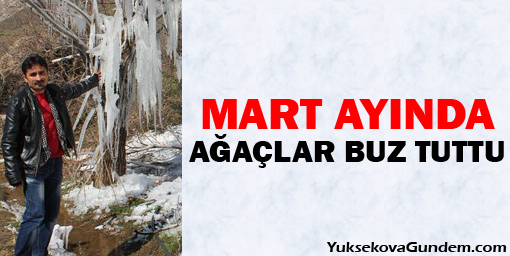 Mart ayında ağaçlar buz tuttu