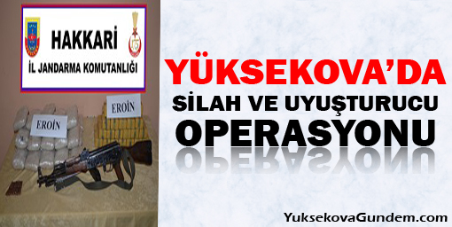 Yüksekova'da Silah Operasyonu