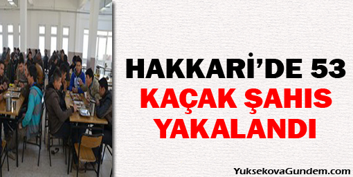 Hakkari'de 53 kaçak şahıs yakalandı