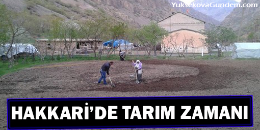 Hakkari'de tarım zamanı