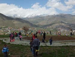 Hakkari'de Uçurtma Şenliği