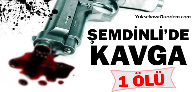 Şemdinli'de silahlı kavga: 1 Ölü!