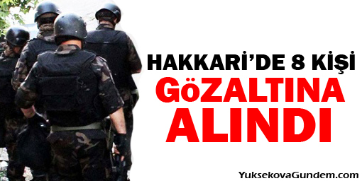 Hakkari'de 8 kişi gözaltına alındı