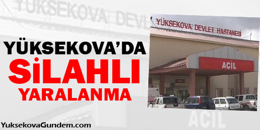 Yüksekovada Silahlı Yaralanma