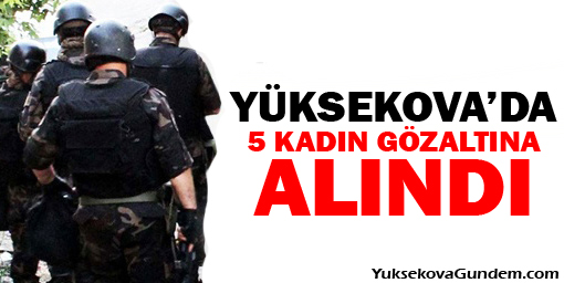 Yüksekova'da 5 kadın gözaltına alındı