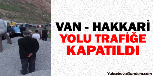 Van - Hakkari yolunu trafiğe kapattılar