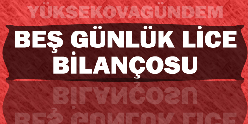 Beş günlük Lice bilançosu