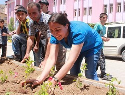 Hakkaride yeşillendirme çalışması