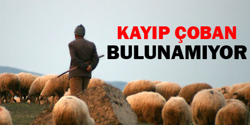 Hakkari'de kaybolan çoban bulunmadı