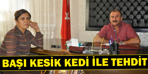 Belediye Başkanına Başı Kesik Kedi ile Tehdit