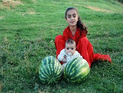 Dağlıca karpuzu piyasaya çıktı