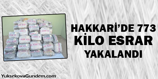 Hakkari'de 773 kilo esrar yakalandı