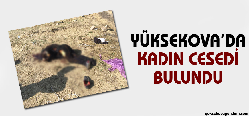 Yüksekova'da bir kadın cesedi bulundu