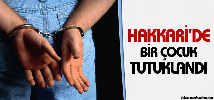 Hakkari'de bir çocuk tutuklandı