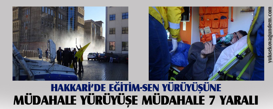 Yürüyüşe müdahale 7 yaralı