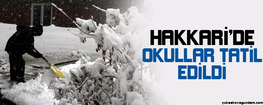 Hakkari'de okullar tatil edildi