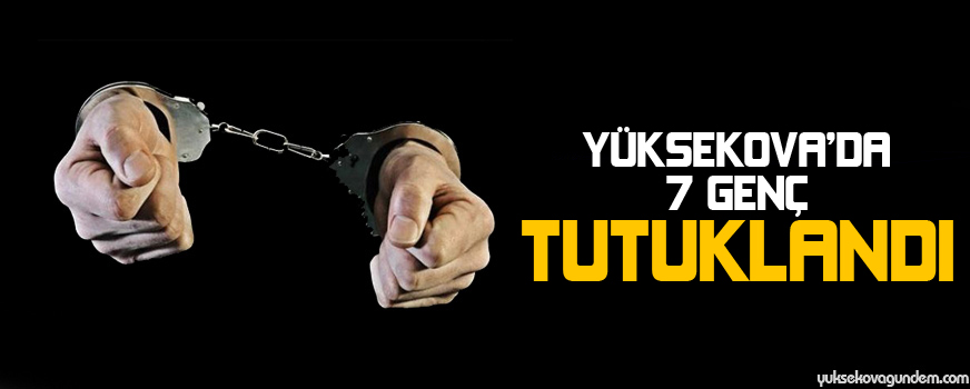 Yüksekovada 7 genç tutuklandı