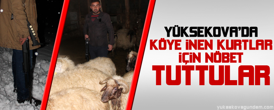 Yüksekova'da Kurtlar Köye İndi