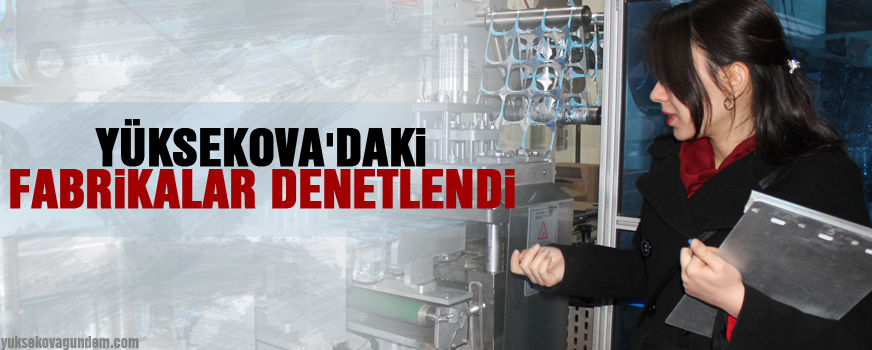 Yüksekova'daki Fabrikalar Denetlendi