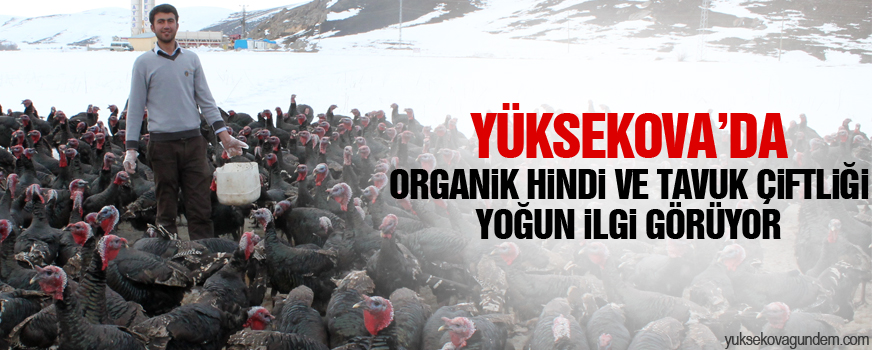 Organik Hindi Ve Tavuk Çiftliği Yoğun İlgi Görüyor