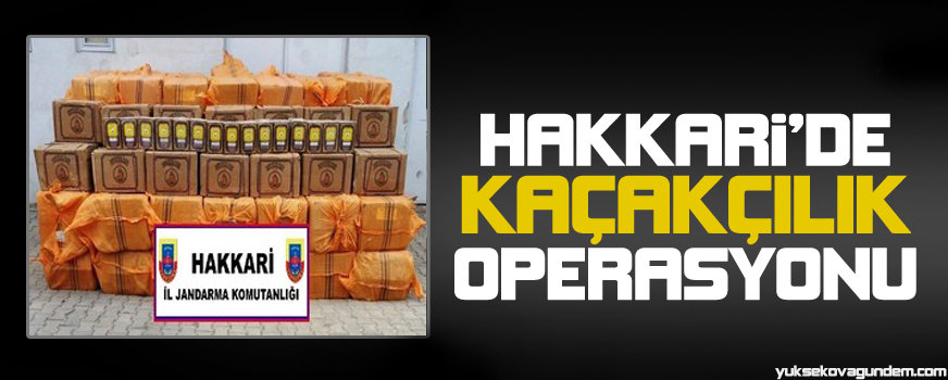 Hakkari'de 3 ton 500 kilogram çay ele geçirildi