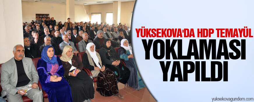 Yüksekova'da HDP Temayül Yoklaması Yapıldı