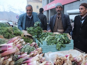 Yılın ilk pancarı tezgahlarda yerine aldı