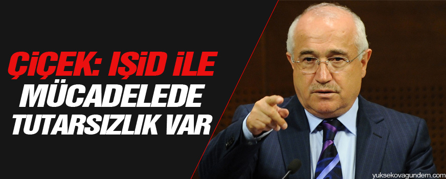 Çiçek: IŞİD ile mücadelede tutarsızlık var