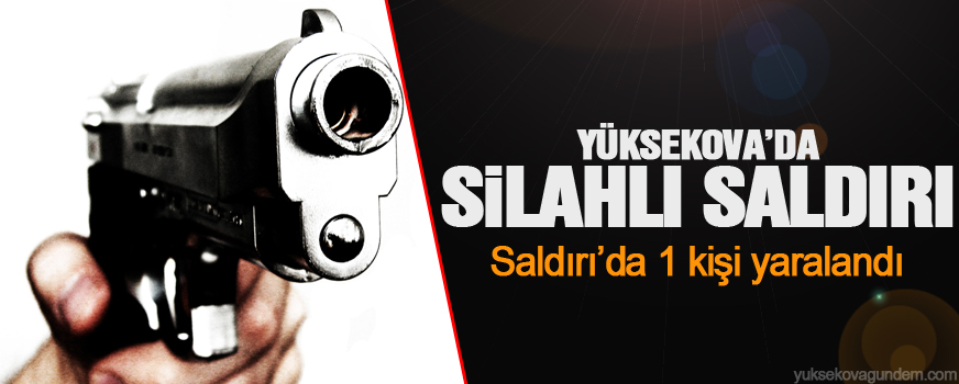 Yüksekova'da Silahlı Saldırı