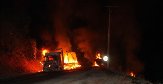 PKK Şemdinli'de 2 Tırı Ateşe Verdi