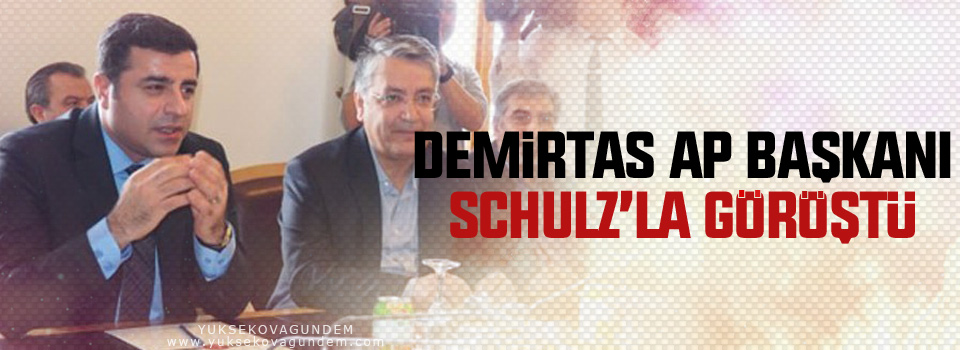 Demirtaş AP Başkanı Schulz’la görüştü