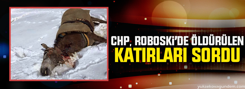 CHP, Roboski’de öldürülen katırları sordu