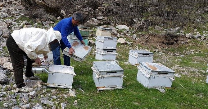 Hakkarili arıcılar bakım çalışmasına başladı